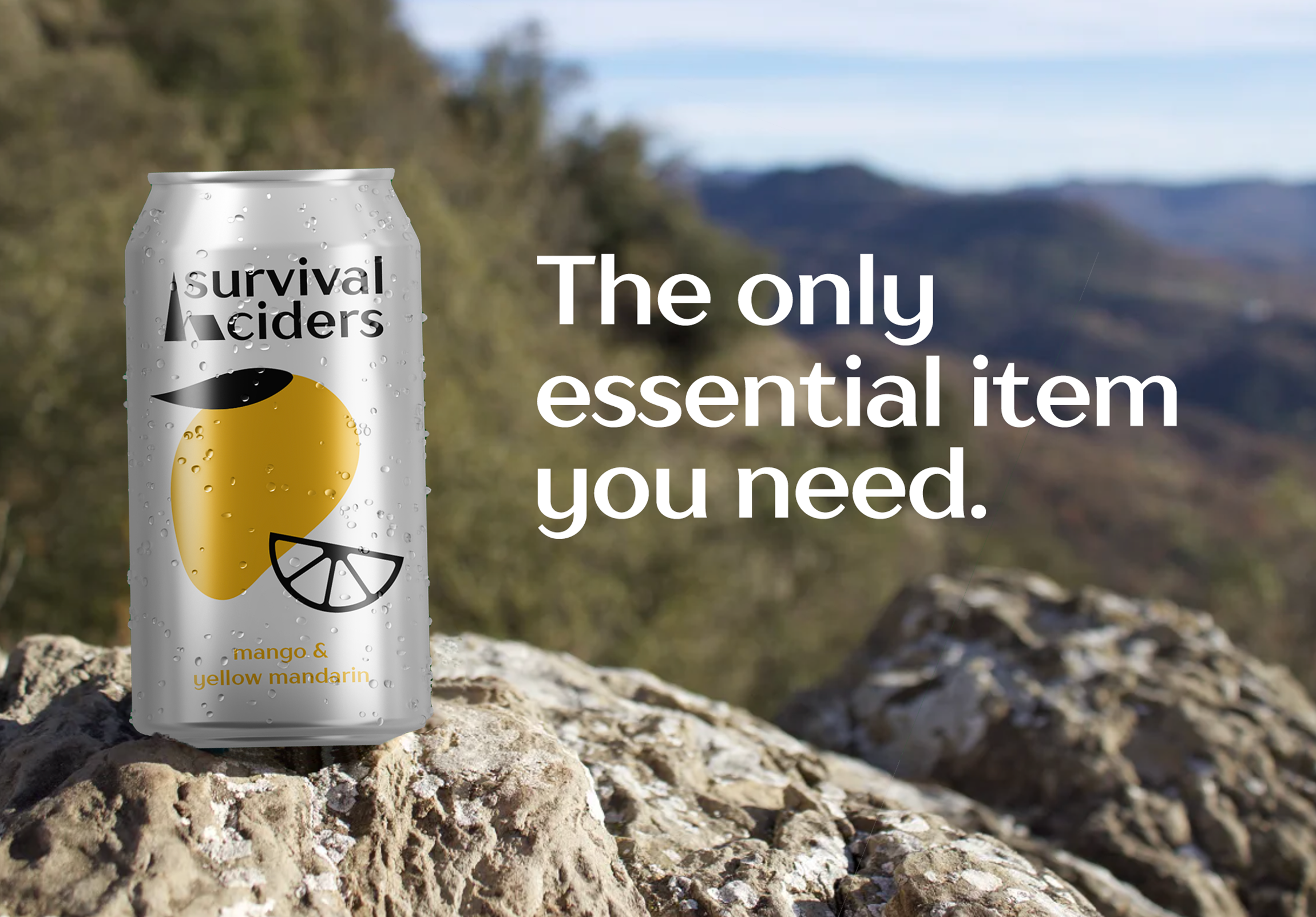 ciders